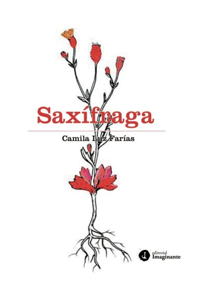 EBOOK Saxífraga - Camila Luz Farías