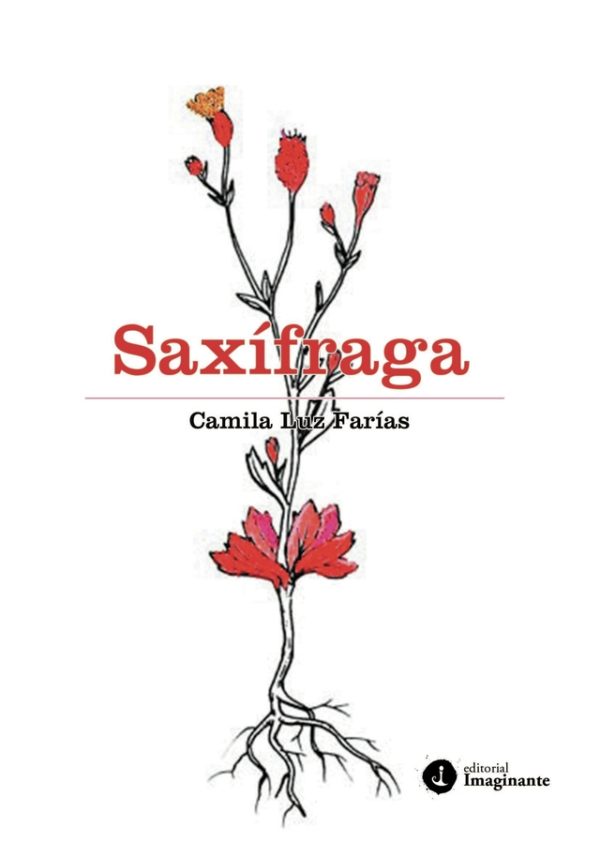 EBOOK Saxífraga - Camila Luz Farías