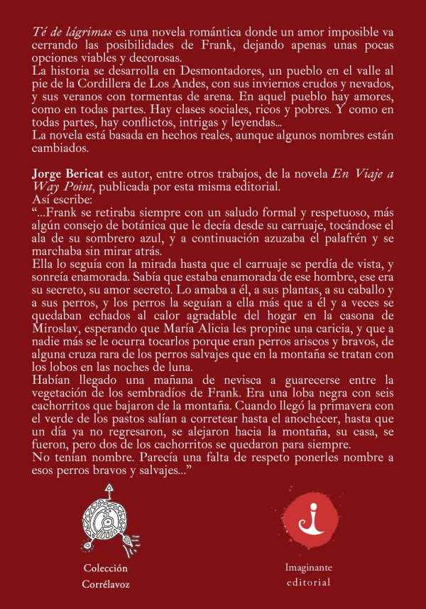 EBOOK Té de lágrimas - Jorge Bericat - Imagen 2