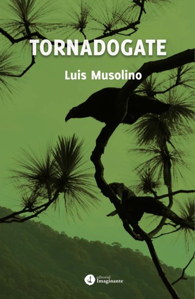EBOOK: Tornadogate / Luis Francisco Musolino